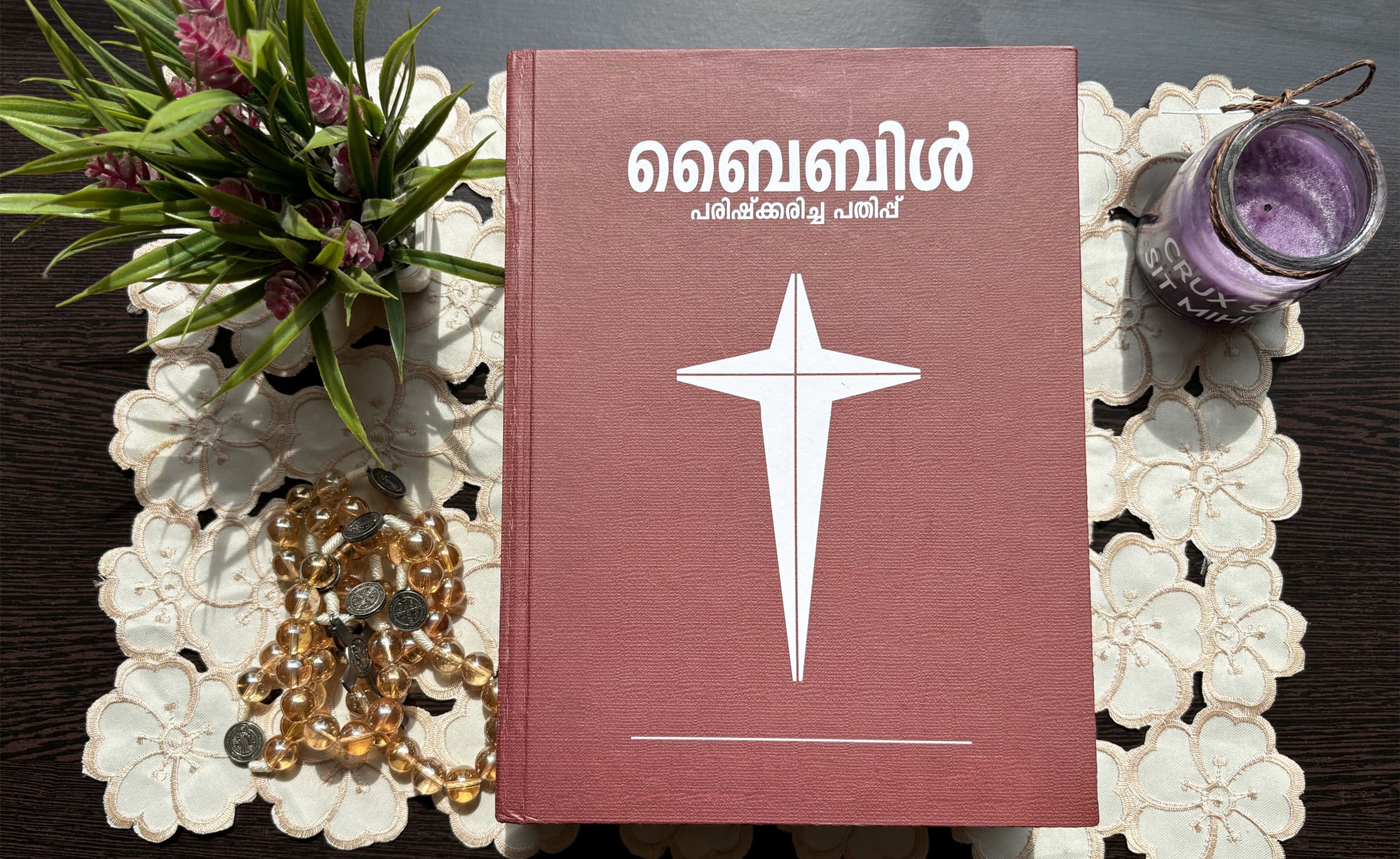 POC Malayalam Bible revised edition